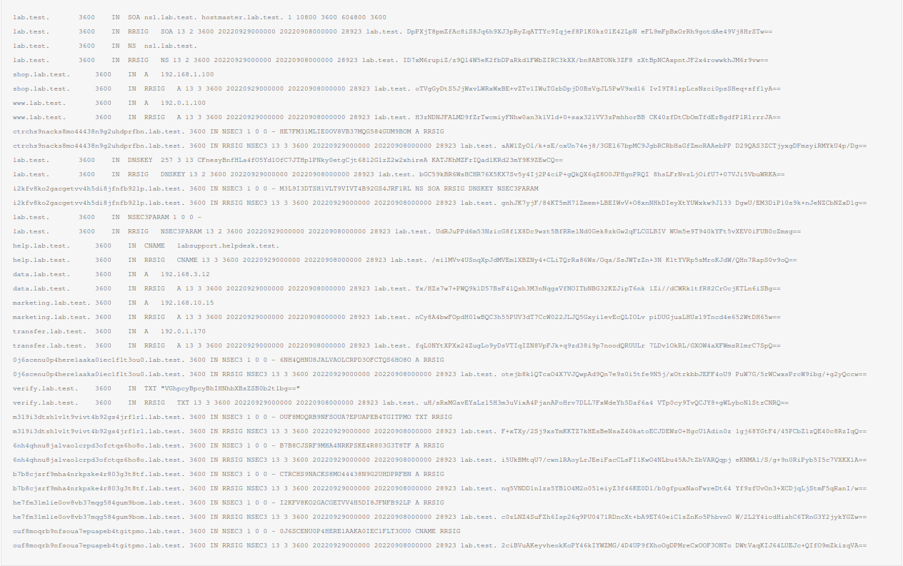 DNS Zone using DNSSEC with NSEC3