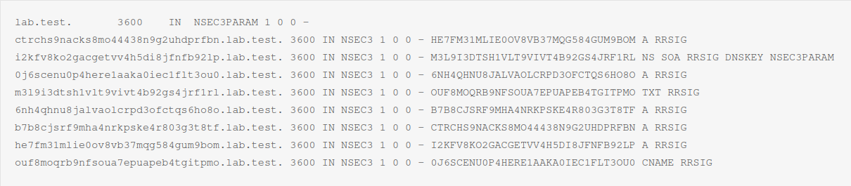 NSEC3 and NSEC3PARAM of lab.test NSEC3 and NSEC3PARAM of lab.test