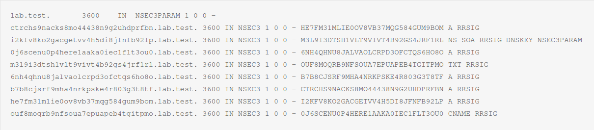 NSEC3 and NSEC3PARAM of lab.test